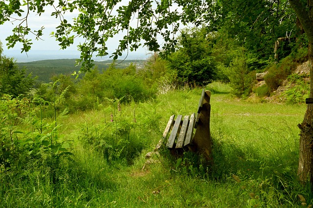 展的决定 展的决定